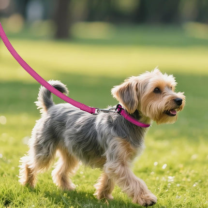 Dog Collars for Small Dogs, Feather-Light Double-Sided Reflective Nylon Collar Night Safety, Adjustable Quick-Release Growing Puppies, Hotpink, S (5/8" Width) Hot Pink S: Width 5/8", Neck 10-16"