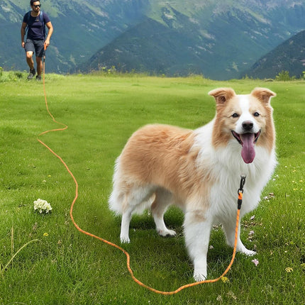 Long Leash for Dog with Removable Padded Handle, Heavy Duty Lead Large Medium Dogs,15FT/30FT/50FT/65FT Reflective Training Play, Camping, Backyard Tie Out, Orange, 30FT Orange