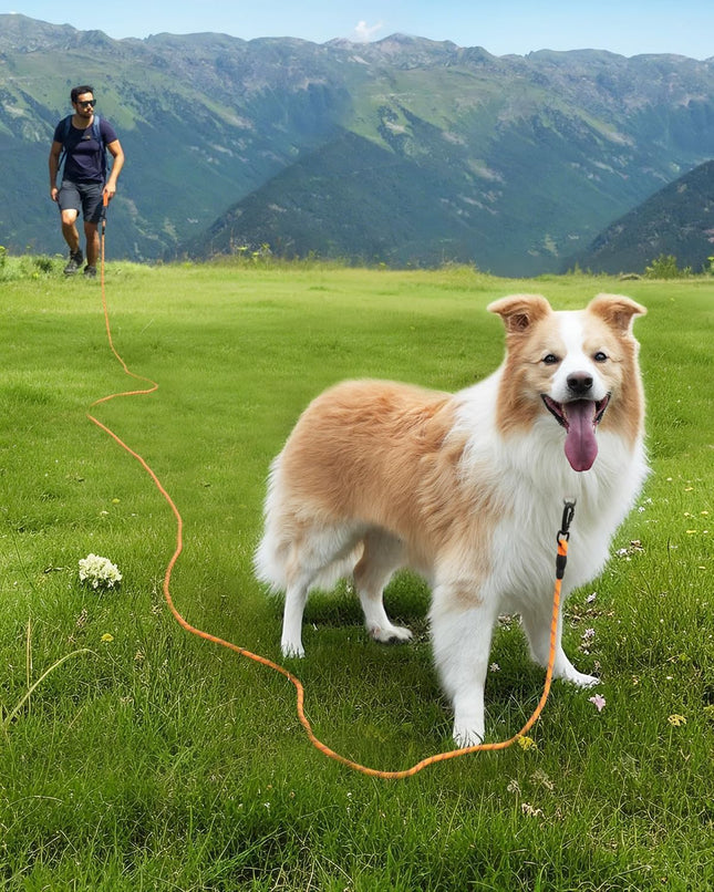 Long Leash for Dog with Removable Padded Handle Heavy Duty Lead Large Medium Dogs – product detail