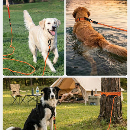 Long Leash for Dog with Removable Padded Handle, Heavy Duty Lead Large Medium Dogs,15FT/30FT/50FT/65FT Reflective Training Play, Camping, Backyard Tie Out, Orange, 30FT Orange