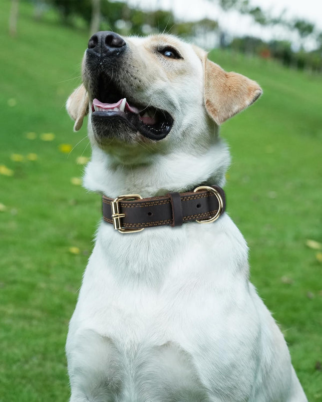 Genuine Leather Dog Collar for Large Dogs Heavy Duty Thick Solid Power Breeds Sturdy Adjustable – product detail