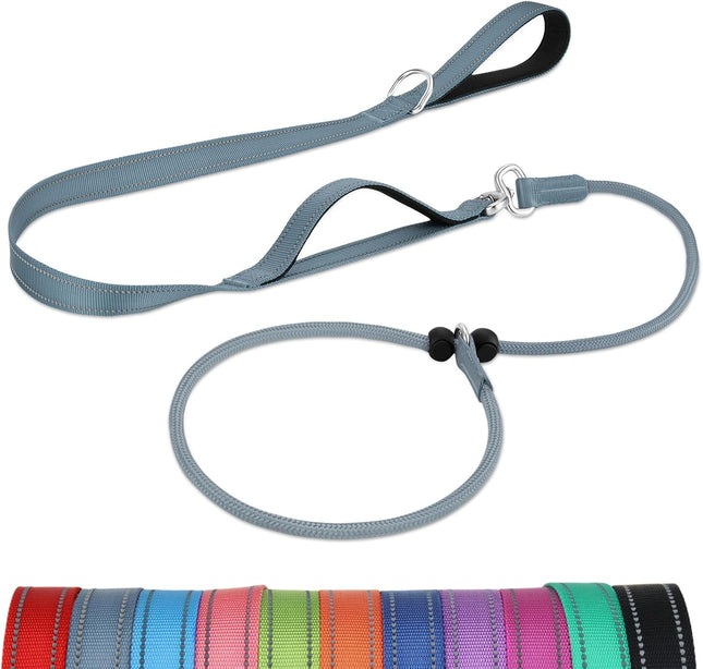 Tangle-Free Slip Leads for Dogs 6 FT Leash with Padded Double Handle Reflective Nylon Training Small Medium