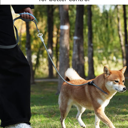 Tangle-Free Slip Leads for Dogs, 6 FT Leash with Padded Double Handle, Reflective Nylon Training Small Medium Dogs 15-40 Lbs, Gray Feet(15-40lbs)