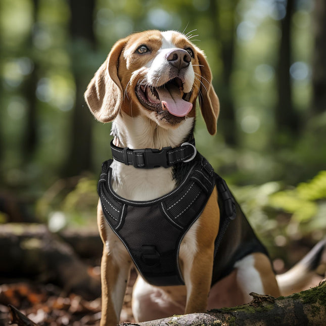 6FT x 1'' Dog Leash and Collar (18-28) Reflective Soft Neoprene Padded Pet Collars Leashes for Extra Large – product detail