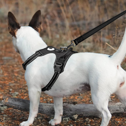 6FT × 1'' Dog Leash and Collar (18-28"), Reflective Soft Neoprene Padded Pet Collars Leashes for Extra Large Dog, Black -