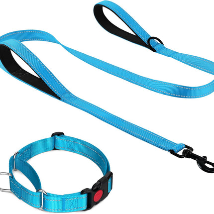 Martingale Dog Collar(12.5-16''), 6FT Double Handle Leash for Training, Sky Blue -