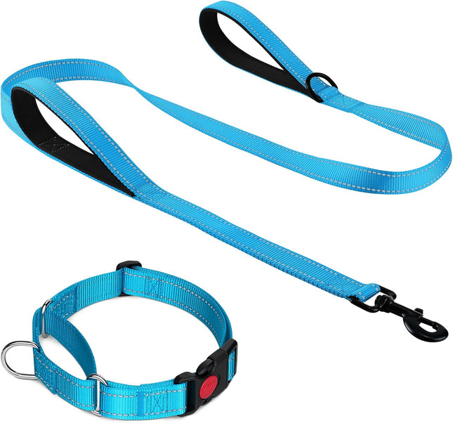 Martingale Dog Collar(12.5-16'') 6FT Double Handle Leash for Training Sky Blue V1259-DP01-A-4634