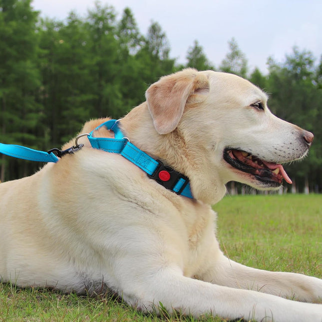 Martingale Dog Collar(12.5-16'') 6FT Double Handle Leash for Training Sky Blue – product detail