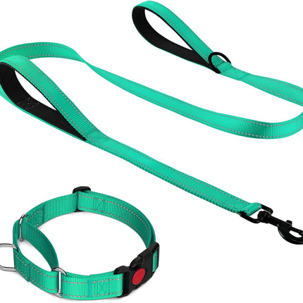 Martingale Dog Collar(12.5-16''), 6FT Double Handle Leash for Training, Teal -