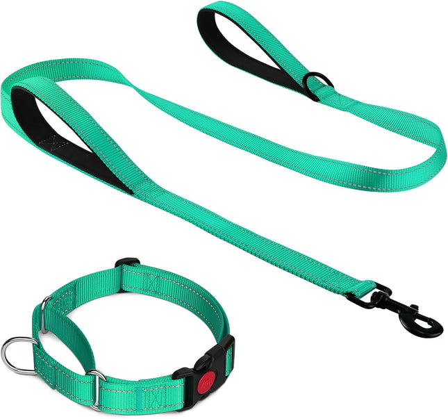 Martingale Dog Collar(12.5-16'') 6FT Double Handle Leash for Training Teal V1259-DP01-A-4635