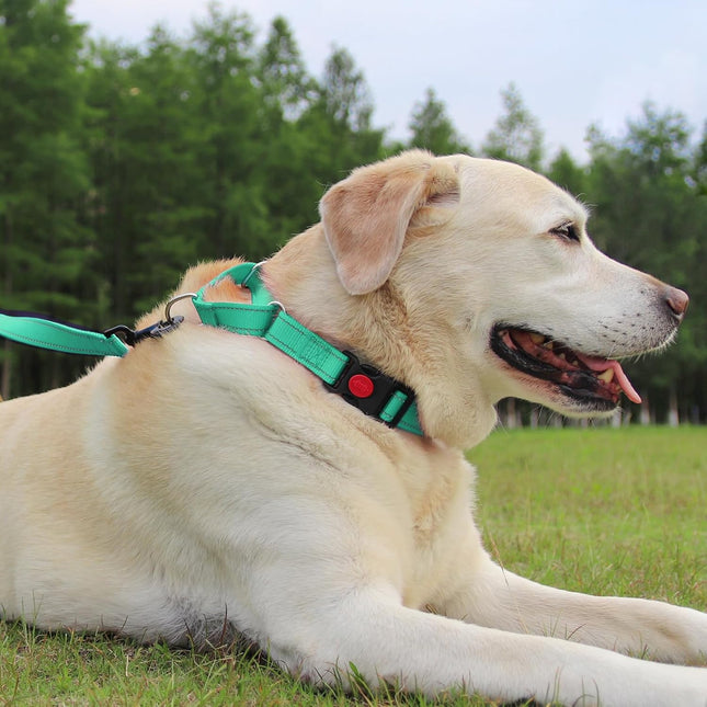 Martingale Dog Collar(12.5-16'') 6FT Double Handle Leash for Training Teal – product detail