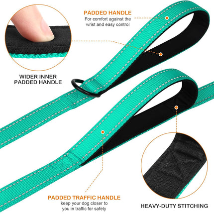 Martingale Dog Collar(12.5-16''), 6FT Double Handle Leash for Training, Teal -