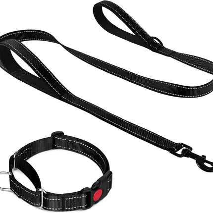 Martingale Dog Collar(12.5-16''), 6FT Double Handle Leash for Training, Black -
