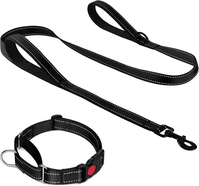 Martingale Dog Collar(12.5-16'') 6FT Double Handle Leash for Training Black V1259-DP01-A-4636