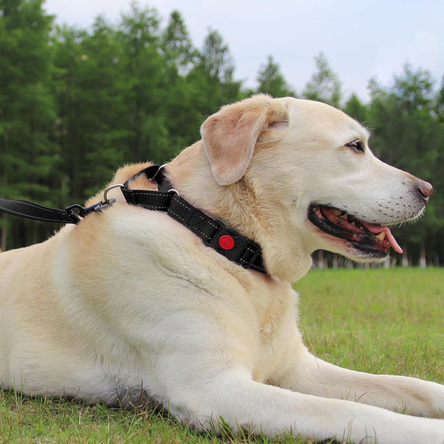Martingale Dog Collar(12.5-16'') 6FT Double Handle Leash for Training Black – product detail