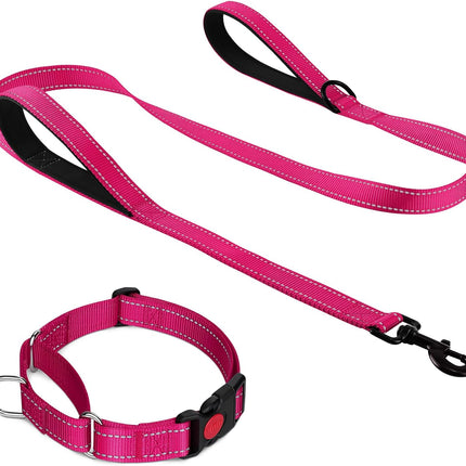 Martingale Dog Collar(16-20"), 6FT Double Handle Leash for Training, Hotpink -