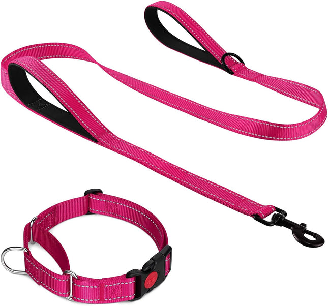 Martingale Dog Collar(16-20) 6FT Double Handle Leash for Training Hotpink V1259-DP01-A-4637
