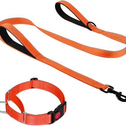 Martingale Dog Collar(16-20"), 6FT Double Handle Leash for Training, Orange -