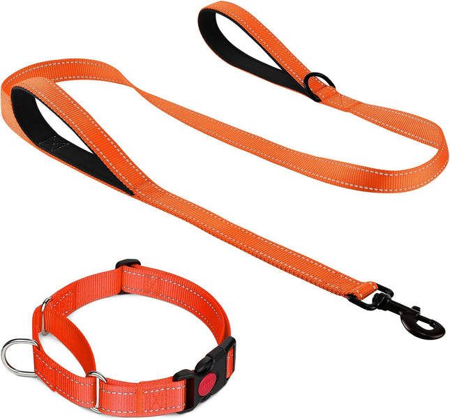 Martingale Dog Collar(16-20) 6FT Double Handle Leash for Training Orange V1259-DP01-A-4638