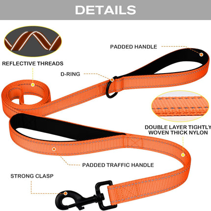 Martingale Dog Collar(16-20"), 6FT Double Handle Leash for Training, Orange -