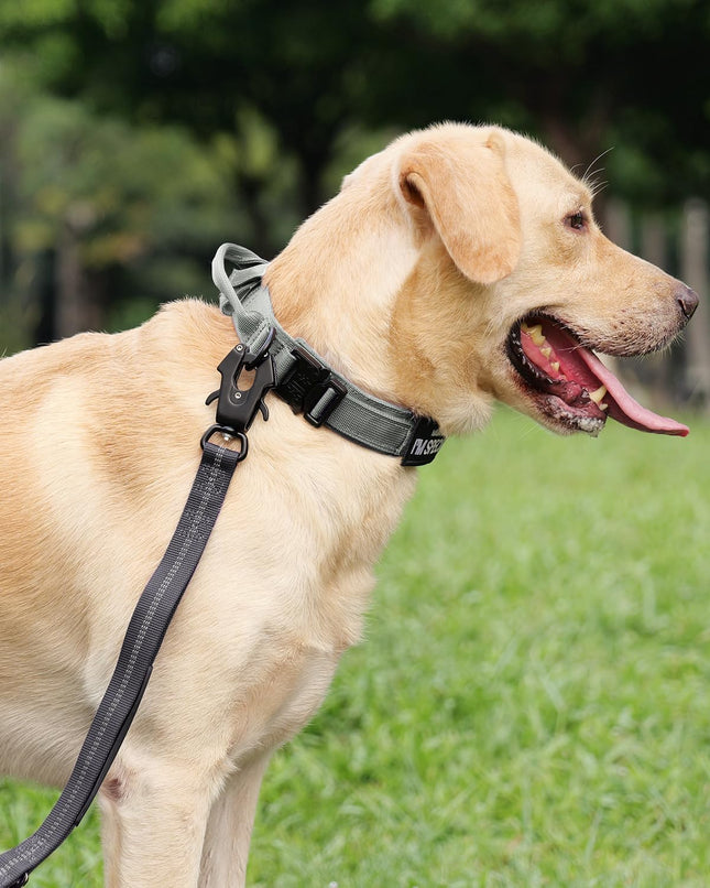 Tactical Dog Collar(15 -18) and Leash Set Adjustable Strong Collar with Handle Shock Absorbing Bungee for – product detail