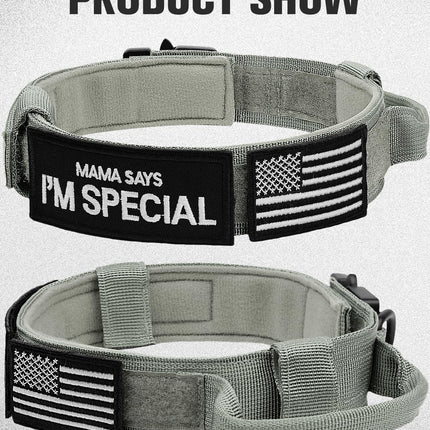 Tactical Dog Collar(15"-18") and Leash Set, Adjustable Strong Collar with Handle Shock Absorbing Bungee for Medium Dogs(Gray,M) -