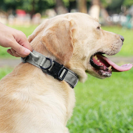 Tactical Dog Collar(15"-18") and Leash Set, Adjustable Strong Collar with Handle Shock Absorbing Bungee for Medium Dogs(Gray,M) -