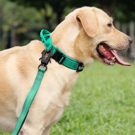 Tactical Dog Collar(20"-24") and Leash Set, Adjustable Strong Collar with Handle Shock Absorbing Bungee for Extra Large Dogs(Turquoise,XL) -