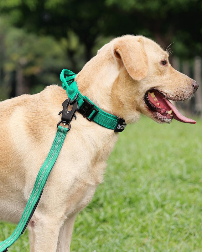 Tactical Dog Collar(20 -24) and Leash Set Adjustable Strong Collar with Handle Shock Absorbing Bungee for – product detail