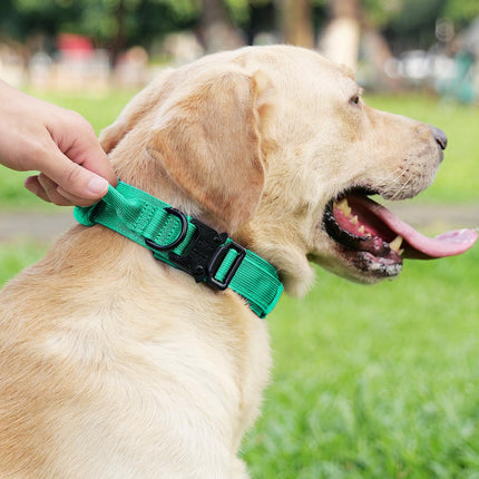 Tactical Dog Collar(20"-24") and Leash Set, Adjustable Strong Collar with Handle Shock Absorbing Bungee for Extra Large Dogs(Turquoise,XL) -