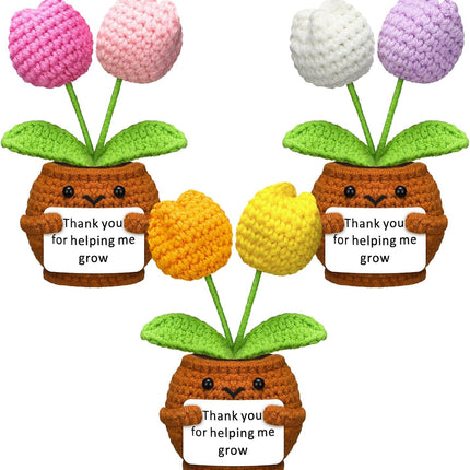 3 Pcs Teacher Appreciation Gifts Easter Gift Positive Flower Handmade Crochet Doll Thank You for Helping Me Grow Teachers Week(Tulip) -