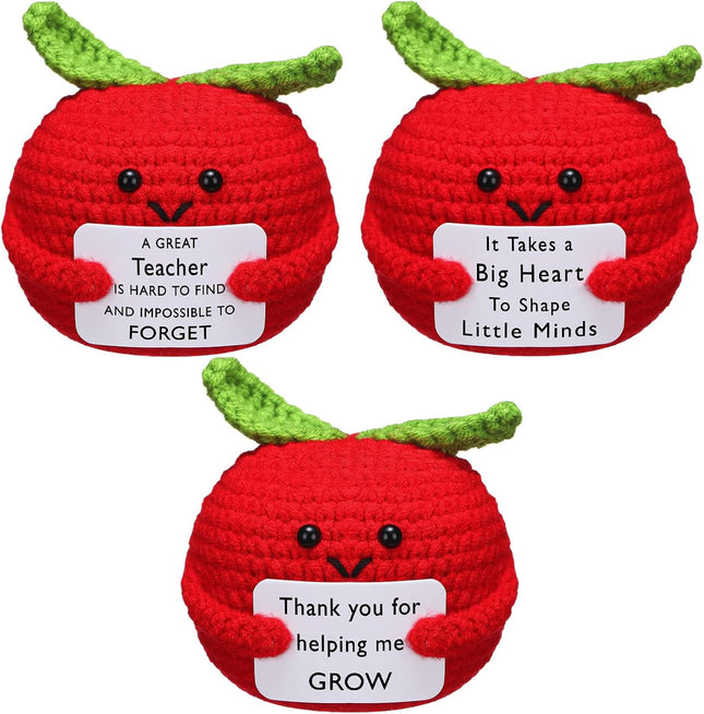 3 Pcs Teacher Appreciation Gifts Easter Gift Positive Flower Handmade Crochet Doll Thank You for Helping Me
