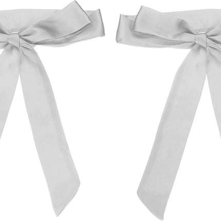 Satin Sash Belt Scarf, Wedding Party Bridal Blank Waist Belts Prom for Graduation Birthday Silver -