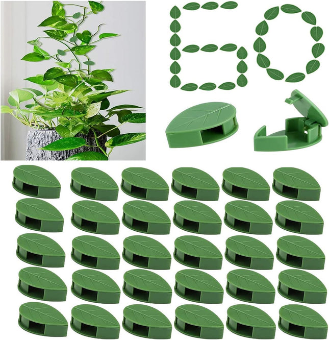 60 Pcs Plant Climbing Wall Fixture Clips Acrylic Self-Adhesive Sticker Fixer Vine Traction in Green