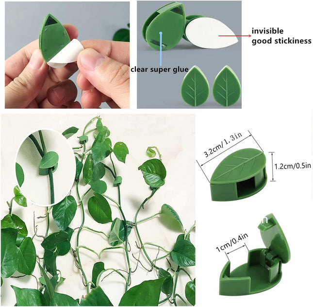 60 Pcs Plant Climbing Wall Fixture Clips Acrylic Self-Adhesive Sticker Fixer Vine Traction – product detail