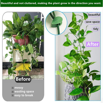 60 Pcs Plant Climbing Wall Fixture Clips Acrylic Self-Adhesive Sticker Fixer Vine Traction Invisible Holder Green Leaf Vines Hook Fixing Clip Indoor Outdoor Decoration - 60PCS