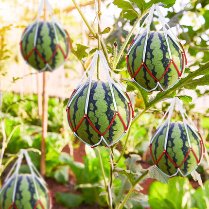 50 Pack Melon Hammocks Cradles Watermelon Nets for Melons Hanging Bags Watermelon, Honeydew Melon, Cucumbers, Cantaloupe -