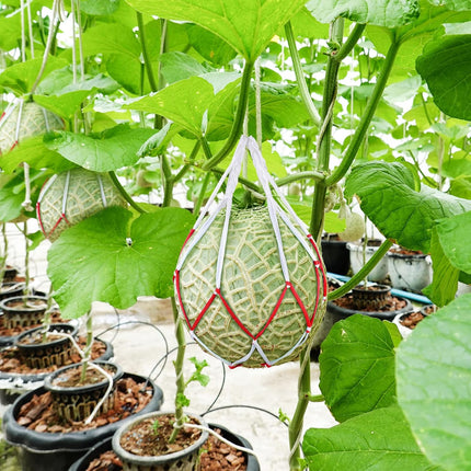 50 Pack Melon Hammocks Cradles Watermelon Nets for Melons Hanging Bags Watermelon, Honeydew Melon, Cucumbers, Cantaloupe -