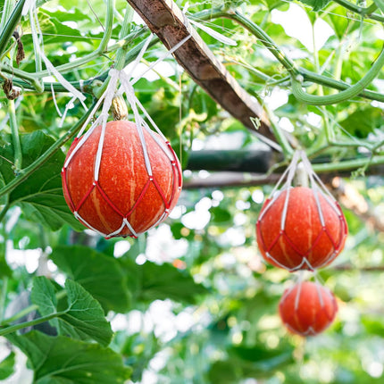 50 Pack Melon Hammocks Cradles Watermelon Nets for Melons Hanging Bags Watermelon, Honeydew Melon, Cucumbers, Cantaloupe -