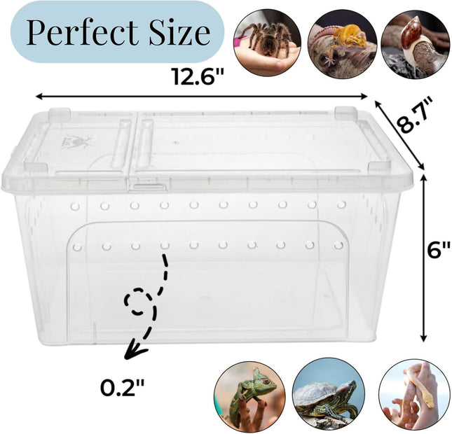 2 Pack Reptile Feeding Box 12.6 x8.7 x6 Transparent Snake Enclosure Terrarium Plastic Spider Habitat – product detail