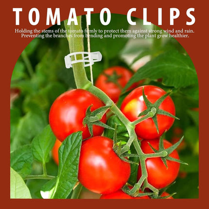 300 PCS Plant Support Clips, Plastic Garden Plant Ties, Tomato Clips Trellis or Tomato Cucumber lower Squash Vine, 1” Inner Diameter or Climbing Plants
