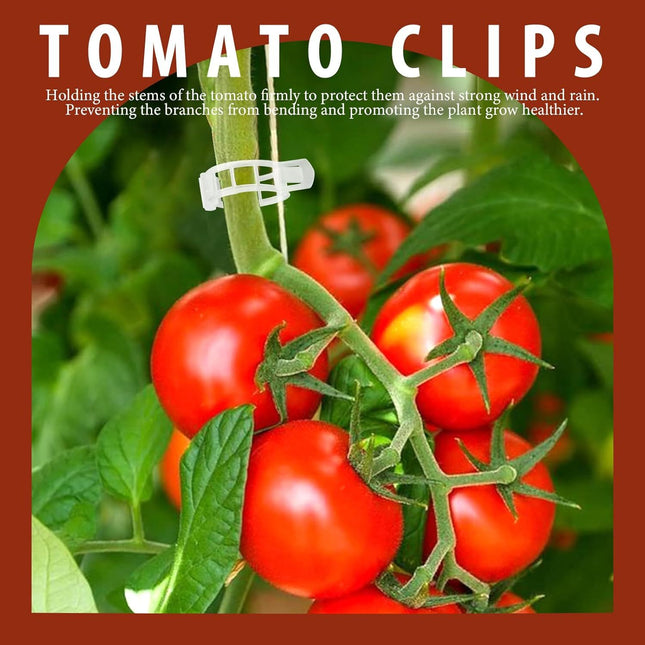 300 PCS Plant Support Clips Plastic Garden Plant Ties Tomato Clips Trellis or Tomato Cucumber – product detail