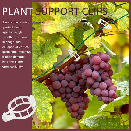 300 PCS Plant Support Clips, Plastic Garden Plant Ties, Tomato Clips Trellis or Tomato Cucumber lower Squash Vine, 1” Inner Diameter or Climbing Plants