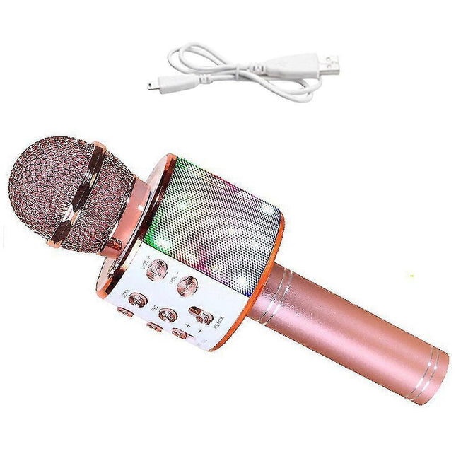 Cordless Handheld Karaoke Microphone – product detail