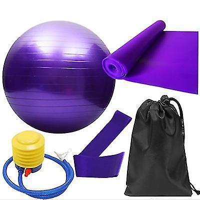 5pcs Purple Yoga Training Set with Fitness Ball & Bands V1263-JX-3961
