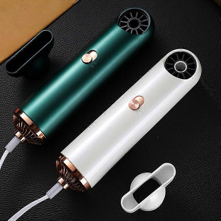 Mini Silent Anion Hair Dryer Portable Leafless High Power Dryer