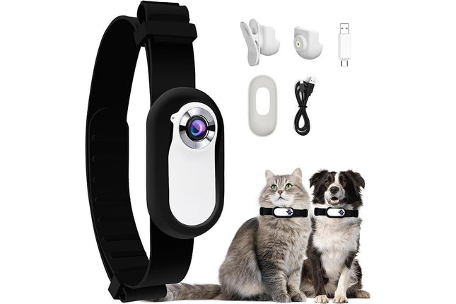 HD 1080P Dog Tracker Collar No WiFi No App Dog Collar Camera Dog Cat Pet Sport Action Camera Collar Mini