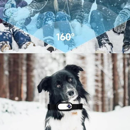 HD 1080P Dog Tracker Collar No WiFi No App Dog Collar Camera Dog Cat Pet Sport Action Camera Collar Mini Body Cam