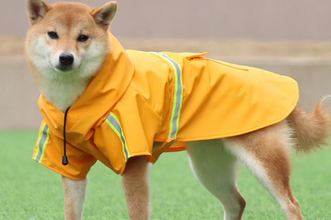Pet Raincoat Outdoor Waterproof Dog Poncho for Small and Medium Dogs – product detail