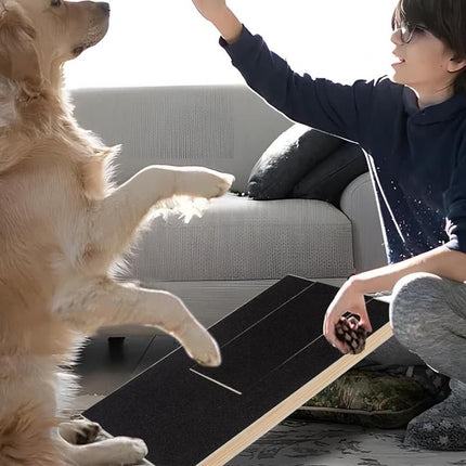 Dog Scratch Pad for Nails Scratching Board with Treat Box